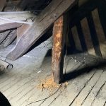 Combles - charpente attaquée